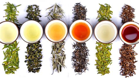Tea Guide: 7 Popular Types of Chinese Tea .